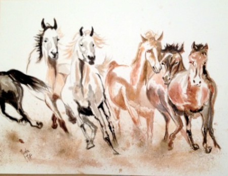 Chevaux sauvages 2